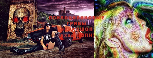 гашик Корсаков