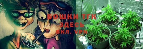 ПСИЛОЦИБИНОВЫЕ ГРИБЫ Козловка