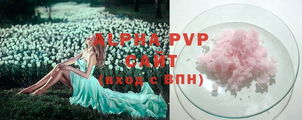 гашик Корсаков