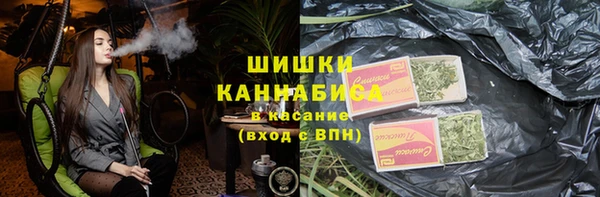 гашик Корсаков