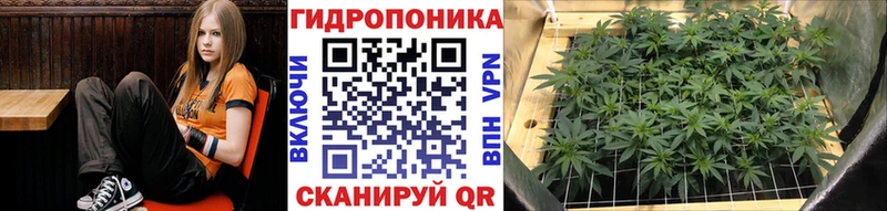 Купить где  Емва  Шишки марихуана VHQ 